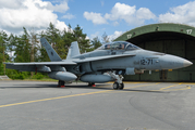 Spanish Air Force (Ejército del Aire) McDonnell Douglas EF-18BM Hornet (CE.15-08) at  Wittmundhafen Air Base, Germany