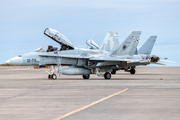 Spanish Air Force (Ejército del Aire) McDonnell Douglas EF-18BM Hornet (CE.15-08) at  Gran Canaria, Spain