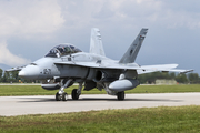 Spanish Air Force (Ejército del Aire) McDonnell Douglas EF-18BM Hornet (CE.15-08) at  Rivolto - Air Base, Italy