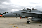 Spanish Air Force (Ejército del Aire) McDonnell Douglas EF-18BM Hornet (CE.15-10) at  Monte Real AFB, Portugal