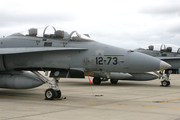 Spanish Air Force (Ejército del Aire) McDonnell Douglas EF-18BM Hornet (CE.15-10) at  Monte Real AFB, Portugal