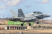 Spanish Air Force (Ejército del Aire) McDonnell Douglas EF-18B+ Hornet (CE.15-12) at  Gran Canaria, Spain