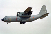 Belgian Air Force Lockheed C-130H Hercules (CH-01) at  Brussels - International, Belgium