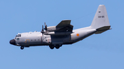 Belgian Air Force Lockheed C-130H Hercules (CH-05) at  Brussels - International, Belgium