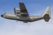 Belgian Air Force Lockheed C-130H Hercules (CH-05) at  Gran Canaria, Spain