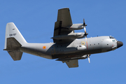 Belgian Air Force Lockheed C-130H Hercules (CH-07) at  Brussels - International, Belgium