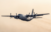 Belgian Air Force Lockheed C-130H Hercules (CH-07) at  Valencia - Manises, Spain