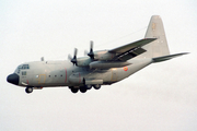 Belgian Air Force Lockheed C-130H Hercules (CH-11) at  Brussels - International, Belgium