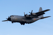 Belgian Air Force Lockheed C-130H Hercules (CH-11) at  Luqa - Malta International, Malta