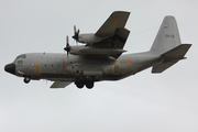 Belgian Air Force Lockheed C-130H Hercules (CH-13) at  Gran Canaria, Spain