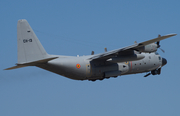 Belgian Air Force Lockheed C-130H Hercules (CH-13) at  Luqa - Malta International, Malta