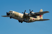 Royal Moroccan Air Force Lockheed C-130H Hercules (CN-AOL) at  Hamburg - Fuhlsbuettel (Helmut Schmidt), Germany