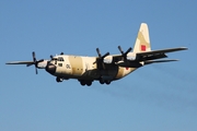 Royal Moroccan Air Force Lockheed C-130H Hercules (CN-AOL) at  Hamburg - Fuhlsbuettel (Helmut Schmidt), Germany