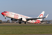 Royal Air Maroc Boeing 737-85P (CN-RGV) at  Amsterdam - Schiphol, Netherlands