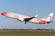 Royal Air Maroc Boeing 737-85P (CN-RGV) at  Amsterdam - Schiphol, Netherlands