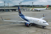 Boliviana de Aviacion Boeing 737-7Q8 (CP-2924) at  Sao Paulo - Guarulhos - Andre Franco Montoro (Cumbica), Brazil