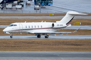 NetJets Europe Bombardier BD-100-1A10 Challenger 350 (CS-CHC) at  Munich, Germany