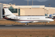 NetJets Europe Dassault Falcon 2000EX (CS-DLC) at  Palma De Mallorca - Son San Juan, Spain