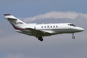 NetJets Europe Raytheon Hawker 800XP (CS-DRC) at  Amsterdam - Schiphol, Netherlands