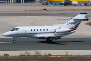 NetJets Europe Raytheon Hawker 850XP (CS-DRS) at  Palma De Mallorca - Son San Juan, Spain