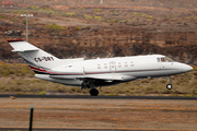 NetJets Europe Raytheon Hawker 800XPi (CS-DRY) at  Tenerife Sur - Reina Sofia, Spain