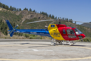 HTA Helicópteros Eurocopter AS350B2 Ecureuil (CS-HFR) at  Gran Canaria, Spain