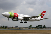 TAP Air Portugal Airbus A310-304 (CS-TEI) at  Évora, Portugal