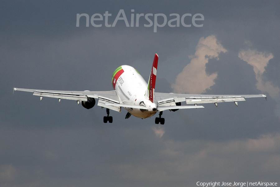 TAP Air Portugal Airbus A310-304 (CS-TEI) | Photo 445970