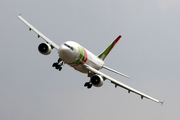 TAP Air Portugal Airbus A310-304 (CS-TEI) at  Évora, Portugal