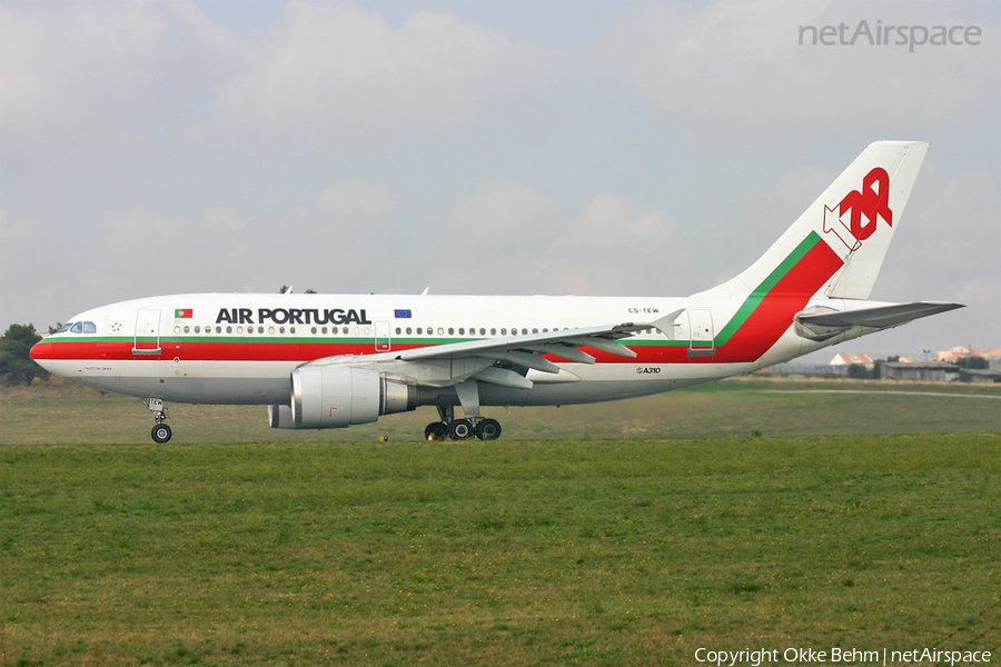 TAP Air Portugal Airbus A310-304 (CS-TEW) | Photo 40342