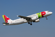 TAP Air Portugal Airbus A320-214 (CS-TNN) at  Brussels - International, Belgium