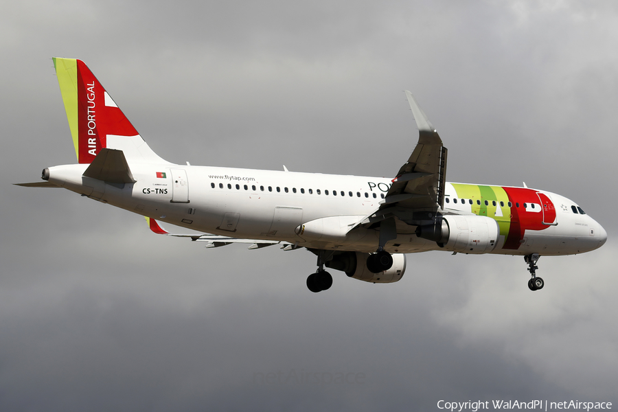 TAP Air Portugal Airbus A320-214 (CS-TNS) | Photo 555635