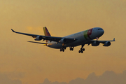 TAP Air Portugal Airbus A340-312 (CS-TOA) at  Sao Paulo - Guarulhos - Andre Franco Montoro (Cumbica), Brazil