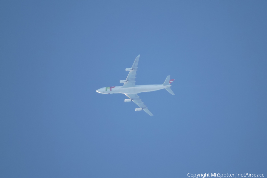 TAP Air Portugal Airbus A340-312 (CS-TOA) | Photo 334098