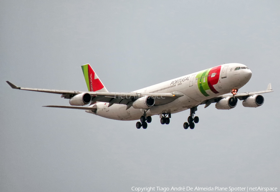 TAP Air Portugal Airbus A340-312 (CS-TOB) | Photo 536228