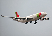 TAP Air Portugal Airbus A340-312 (CS-TOB) at  Sao Paulo - Guarulhos - Andre Franco Montoro (Cumbica), Brazil