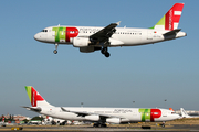 TAP Air Portugal Airbus A340-312 (CS-TOB) at  Lisbon - Portela, Portugal