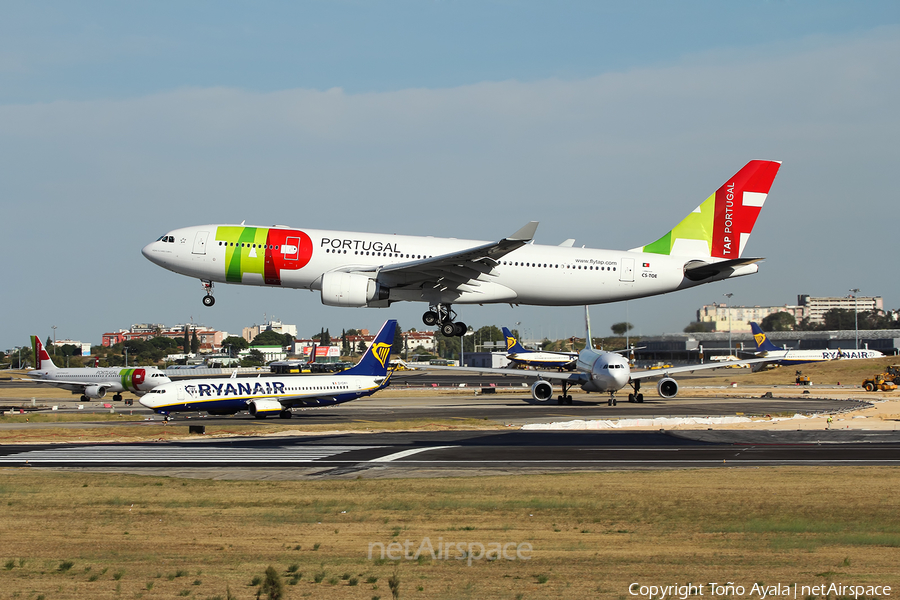TAP Air Portugal Airbus A330-223 (CS-TOE) | Photo 452348