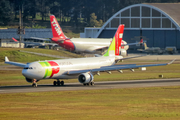 TAP Air Portugal Airbus A330-223 (CS-TOI) at  Sao Paulo - Guarulhos - Andre Franco Montoro (Cumbica), Brazil