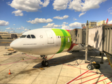 TAP Air Portugal Airbus A330-202 (CS-TOL) at  Newark - Liberty International, United States