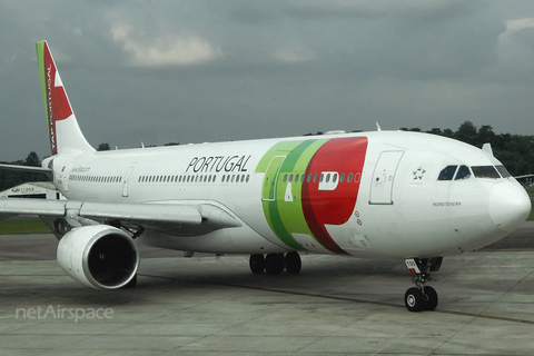 TAP Air Portugal Airbus A330-203 (CS-TOQ) at  Belem - (Val de Caes), Brazil