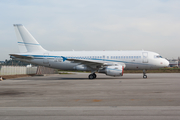 White Airways Airbus A319-115X CJ (CS-TQJ) at  Porto, Portugal