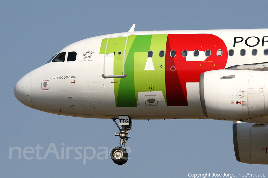 TAP Air Portugal Airbus A319-111 (CS-TTG) | Photo 669091