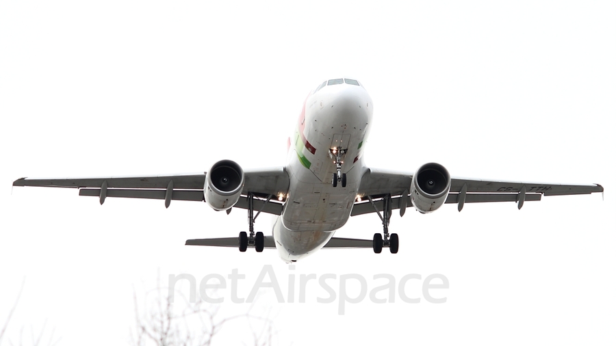 TAP Air Portugal Airbus A319-111 (CS-TTH) | Photo 208394