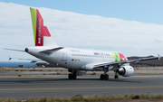 TAP Air Portugal Airbus A319-111 (CS-TTN) at  Gran Canaria, Spain