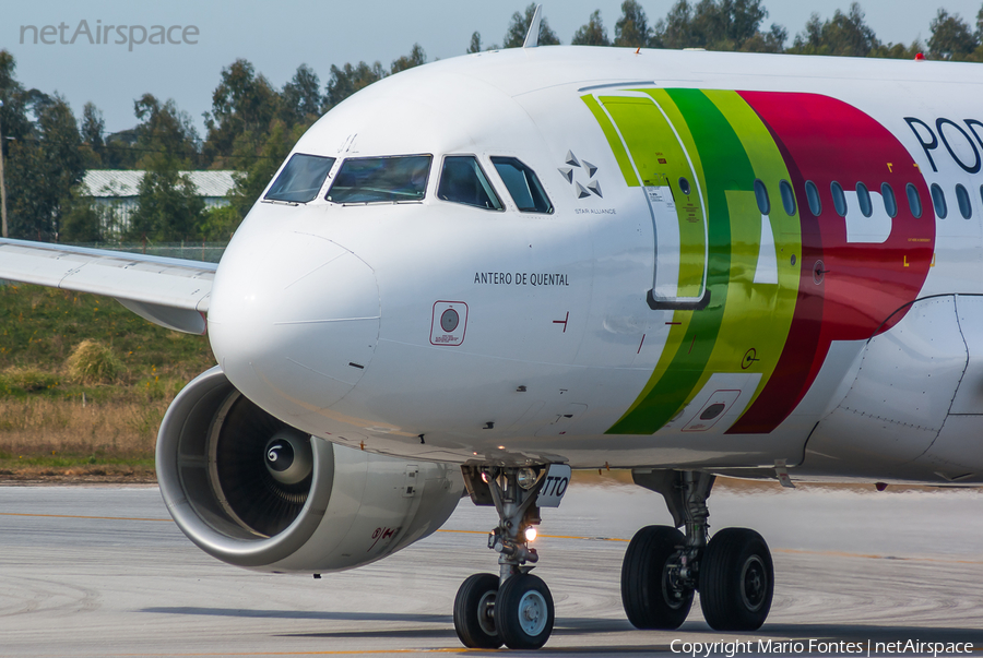 TAP Air Portugal Airbus A319-111 (CS-TTO) | Photo 108340