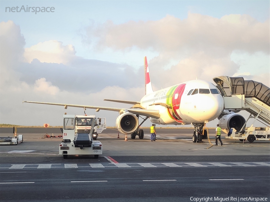 TAP Air Portugal Airbus A319-112 (CS-TTR) | Photo 440551