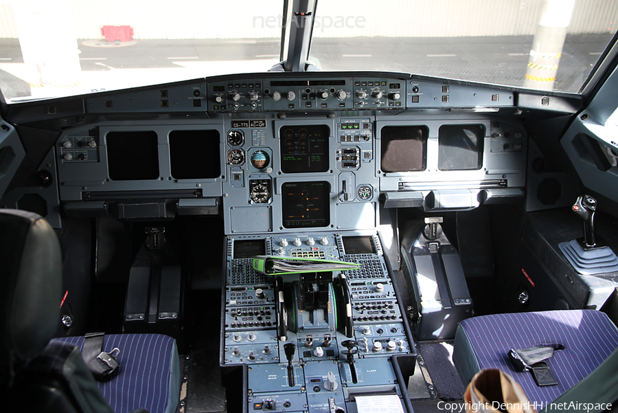 TAP Air Portugal Airbus A319-112 (CS-TTS) | Photo 20879