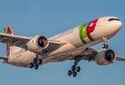 TAP Air Portugal Airbus A330-941N (CS-TUC) at  Sao Paulo - Guarulhos - Andre Franco Montoro (Cumbica), Brazil