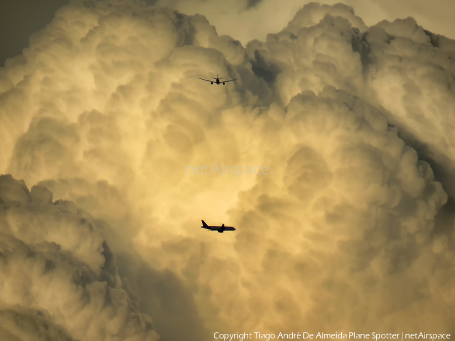 TAP Air Portugal Airbus A330-941N (CS-TUG) | Photo 384274